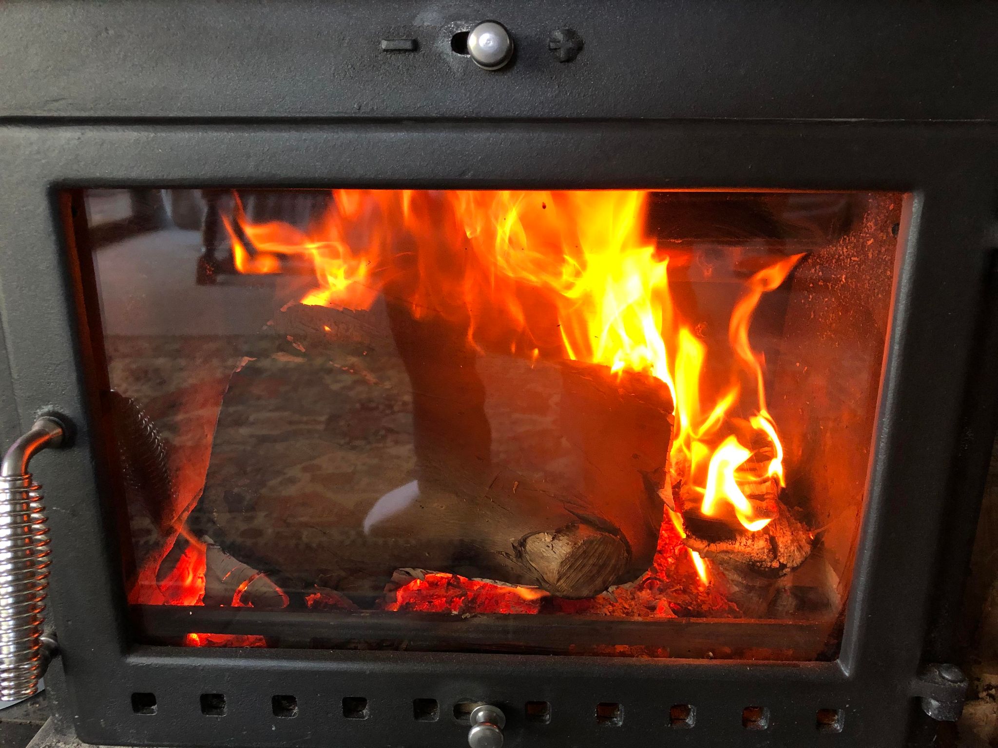 What's the Best Wood to Burn in Your Wood Stove?